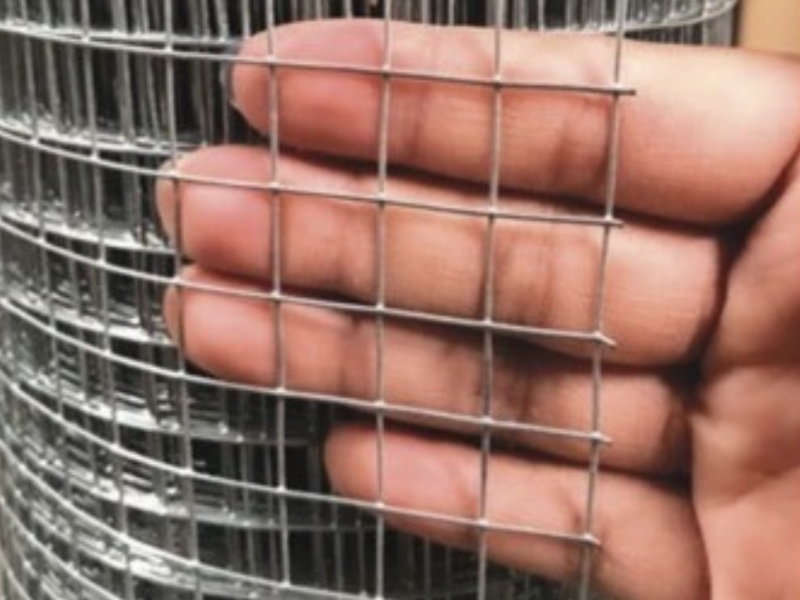 Galvanized Welded Wire Mesh